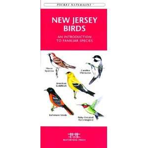  Folding Pocket Guide   New Jersey Birds 