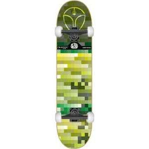   taylor Colorsync II Skateboard   8.12 w/Thunders