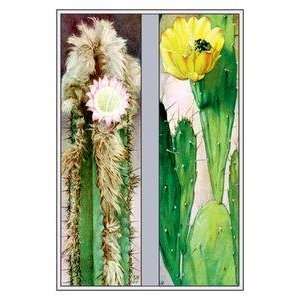 Vintage Art Cactus Flowers   10274 8
