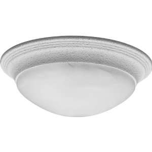 Progress Lighting P3689 30 2 Light Close To Ceiling Fixture with 