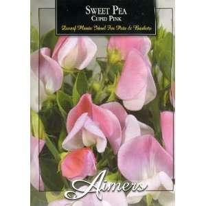  Aimers 3311 Sweet Pea Cupid Pink Seed Packet Patio, Lawn 