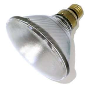   120V SPOT PAR38 Reflector Flood Spot Light Bulb