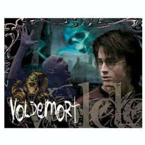  Visual Echo 3D Effect Harry Potter Voldemort 500pc 