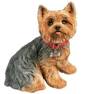 Yorkshire Terrier   Life Size