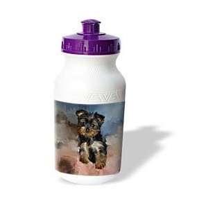  Dogs Toy Yorkie   Toy Yorkie Puppy   Water Bottles Sports 