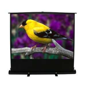   Pull Up Projection Screen (72 Inch 43 Aspect Ratio) Electronics