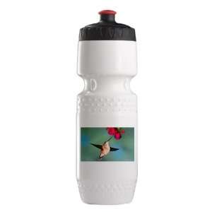   Water Bottle Wht BlkRed Black Chinned Hummingbird 