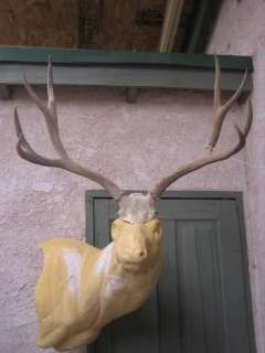 27 5/8 wide 4x4 Mule Deer Antlers mount whitetail rack elk taxidermy 