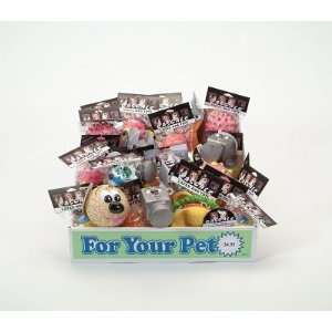  Coastal Pet Products CO55299 Bulk Toy Box Vinyl 43 Pices 