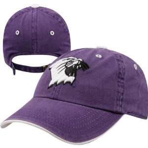 Northwestern Wildcats Youth Team Color Crew Adjustable Hat