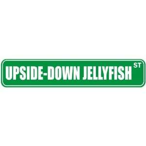   UPSIDE DOWN JELLYFISH ST  STREET SIGN