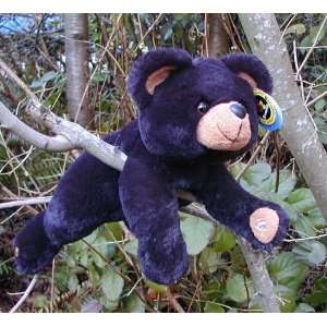  13 Plush Beamerzzz Flashlight Black Bear Toys & Games