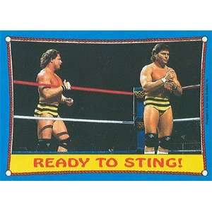  1987 WWF Topps Wrestling Stars Trading Card #62  The 
