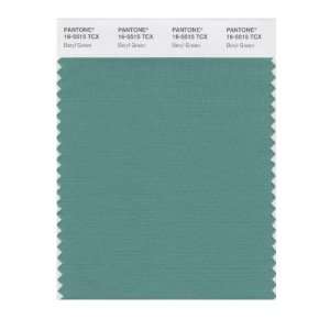   SMART 16 5515X Color Swatch Card, Beryl Green