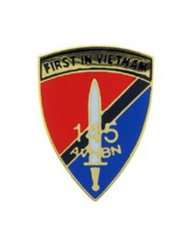 Army 145th Aviation Battalion Pin 1
