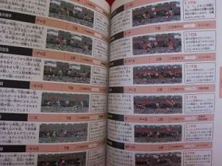 Virtua Fighter 2 fighters bible book/SEGA Saturn,Japan  
