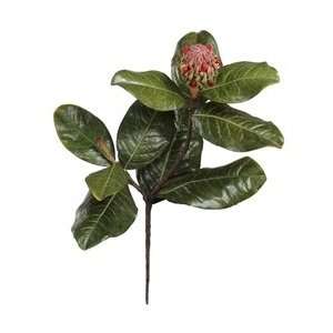  ArtificialMagnolia Leaf Pick with Seed Pod   Green   17 