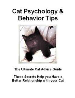 Cat Psychology & Behavior Tips These Secrets Help you Have a Better 