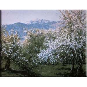   Abandoned Orchard 16x12 Streched Canvas Art by Whitney, Richard Home