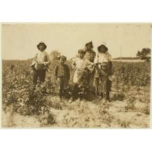  Photo Slebzak family Polish working on Bottomley farm 