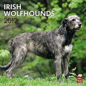  Irish Wolfhounds 2012 Wall Calendar 12 X 12 Office 