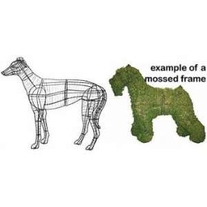  Greyhound Mossed Topiary Frame