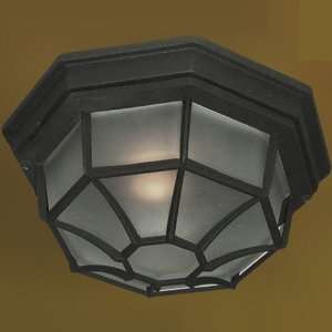   Powder Coat Black Valley Outdoor Ceiling Fixture from the Valley