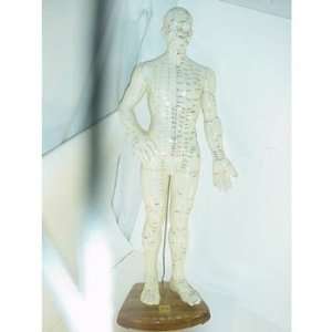  Acupuncture Doll 