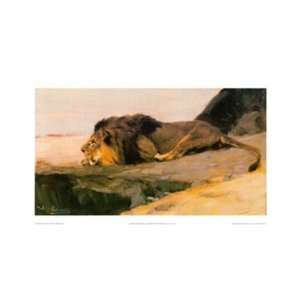  Resting Lion by Wilhelm Kuhnert 20x11