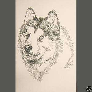 ALASKAN MALAMUTE DOG ART Magic Word Drawing GREAT GIFT  
