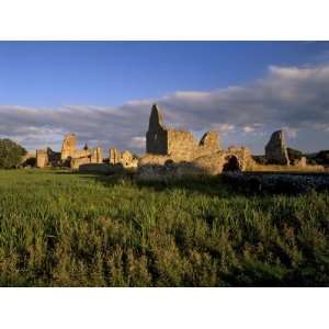  Athassel Priory, Near Cashel, County Tipperary, Munster 