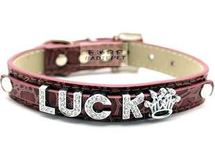 New Fashion Dog Cat Pet Personalized Collar 5 Colors 3 Sizes PD005 