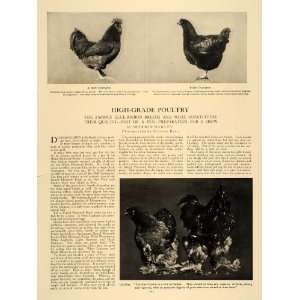  1906 Article Blue Ribbon Champion Poultry Agriculture 