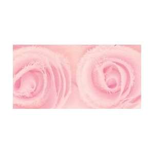  Kaisercraft Ribbon Roses Fairy Floss; 3 Items/Order Arts 