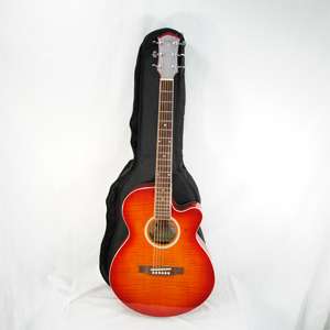 Palmer Guitar Co. Acoustic 6 String Guitar   PF24 PK1 WBCS  