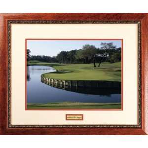  TPC Sawgrass