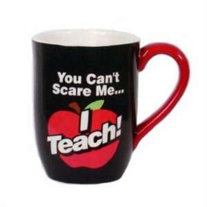  Your CanT Scare Me I Teach   Display