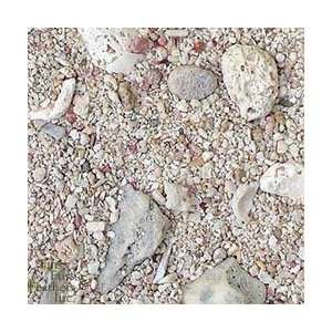 West Caribbean Sand 4/10 Lb Bags (Catalog Category Aquarium / Marine 