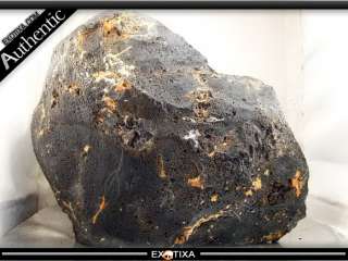 11.7KG The Great World of MUONG NONG TEKTITE(METEORITE)  