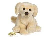 Webkinz , Cheap Webkinz for Sale , New Webkinz 2010   Webkinz 