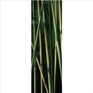  WeatherPrint 18017 Bamboo Triptych I Outdoor Art   Ming 