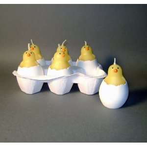  Set of 6 Chicks in Egg Shell Candles