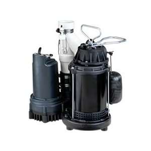   Primary and Backup Sump Pump System   WSS30V