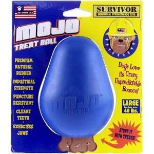  Essential Pet Products PSU 40006 Medium Mojo Treat Ball 