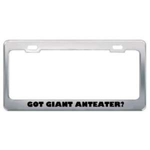  Got Giant Anteater? Animals Pets Metal License Plate Frame 