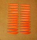 TrueFlight Feathers   3 Orange LW Parabolic   2 Dz