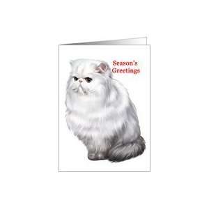  Persian   Animals   Cat   Pets   Christmas Card Health 
