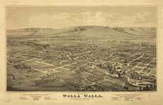 21 Antique Panoramic Maps of Washington State WA on CD  