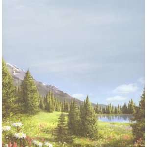  Mountain Meadow 12 x 12 Paper Arts, Crafts & Sewing