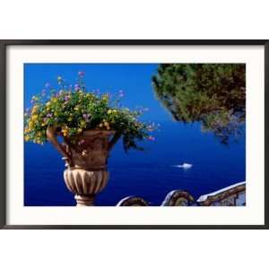  Flowers in Bloom on Terrace of Hotel San Pietro, Positano 